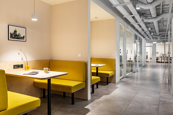 SOK Достоевский - 3 / 8